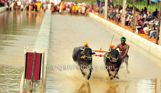 Rama Lakshmana Jodukare Kambala